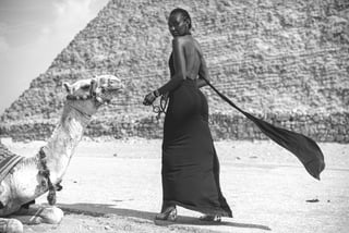 Learn About Dogon Culture